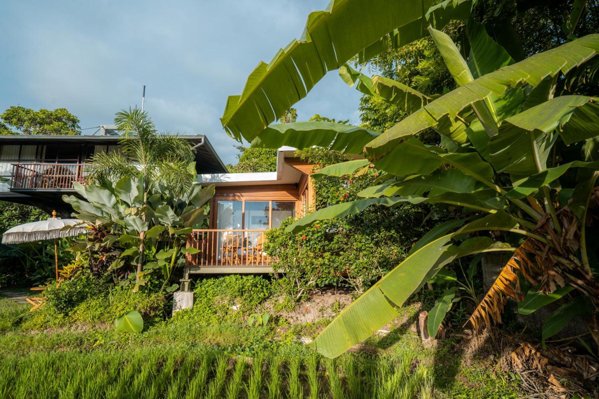 Gruen Ubud المظهر الخارجي الصورة