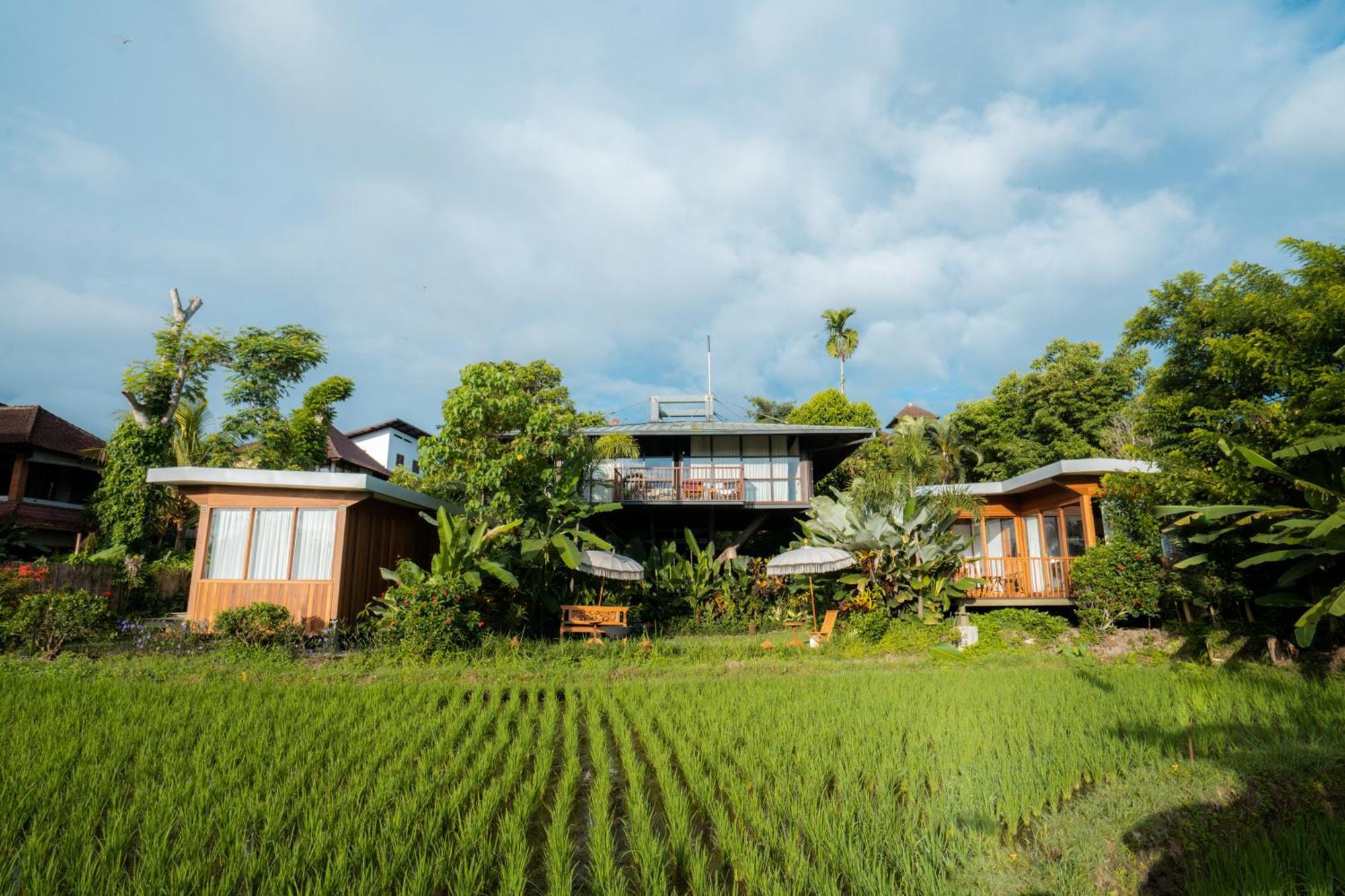 Gruen Ubud المظهر الخارجي الصورة