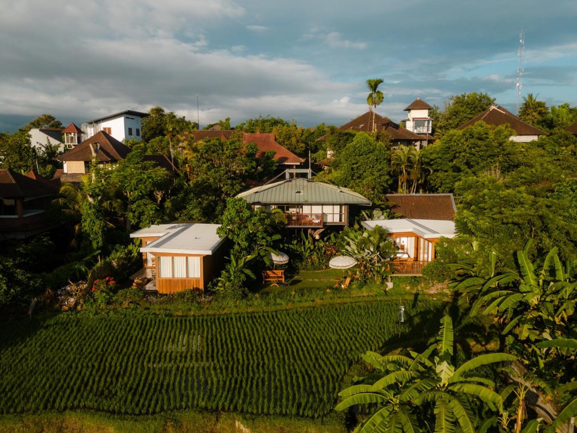 Gruen Ubud المظهر الخارجي الصورة